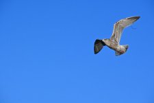 DSC_0851.jpg