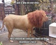 39B47531-F97B-483E-8D81-73FFACD5B380.jpeg