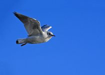 DSC_1025.jpg