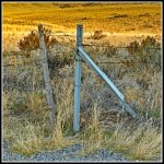 750_9081-Edit.jpg