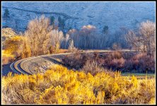 750_9074-Edit.jpg