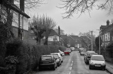 DSC_1109c.jpg