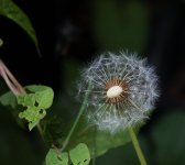 dsc_1037_34946884983_o.jpg