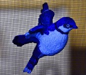 _ROY6184.jpg