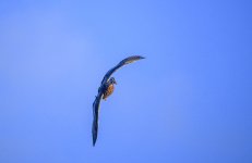 DSC_1187.jpg