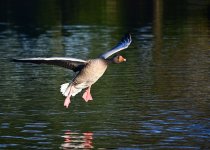 DSC_1252.jpg
