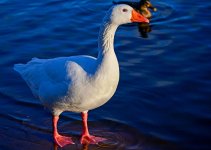 DSC_1149.jpg