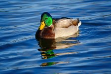 DSC_1117.jpg