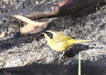 _ROY6394_01.jpg