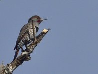 _ROY6422_01.jpg