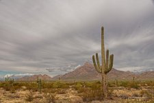 11-28-19-cr_7500478-ON1.jpg