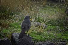 11-28-19-cr_D7K1329-ON1.jpg