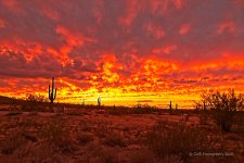 11-27-19-cr_7500464_HDR-ON1.jpg
