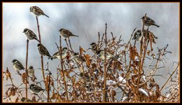 610_7500-Edit.jpg