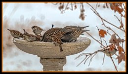 610_7517-Edit.jpg