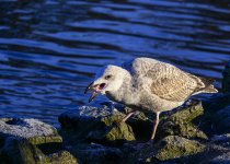DSC_1321.jpg