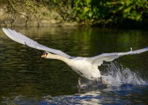DSC_1508.jpg