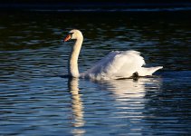 DSC_1739.jpg