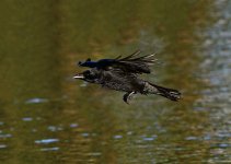 DSC_1957.jpg
