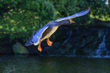 DSC_1865.jpg