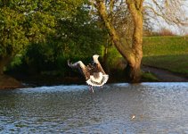 DSC_1876.jpg