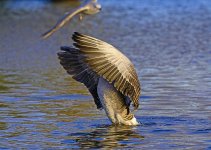 DSC_1920.jpg