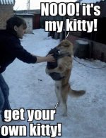 C222CB70-6650-452B-92EB-7C9E79052426.jpeg