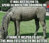 4754E862-BAAB-4E46-B60E-579BC5C453C8.jpeg