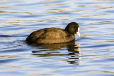 DSC_2381.jpg