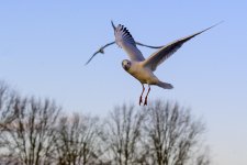 DSC_2112.jpg