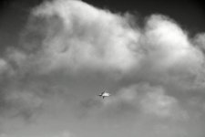 DSC_2302.jpg