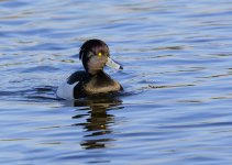 DSC_2393.jpg