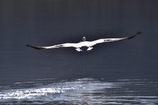 _ROY7318_01.jpg