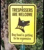 dog.jpg