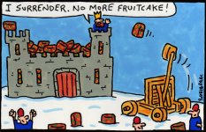 I-surrender-no-more-fruitcake.jpg
