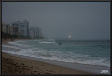 _71D1398.jpg