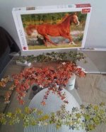 960CA1D0-8D86-4E8C-8686-64A8D01A80D1.jpeg