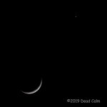 moon venus N 500_0904.jpg