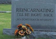 reincar.jpg