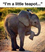 teapot.jpg