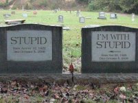 with stupid.jpg