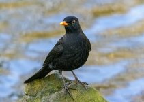 DSC_2844.jpg