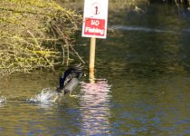 DSC_2769.jpg