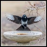 610_8082-Edit.jpg