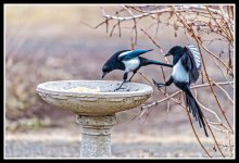 610_8055-Edit-Edit.jpg