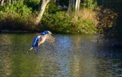 DSC_2816.jpg