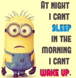 172196-Minion-Morning-And-Night.jpg