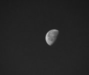 DSC_0652.jpg