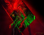 W_D85_2966.jpg