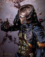 W_D85_2978.jpg